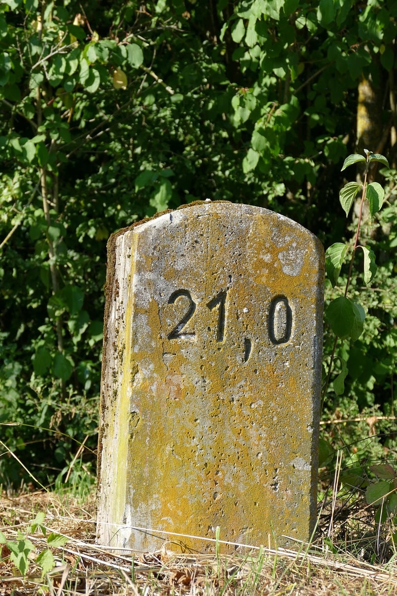 Milestones